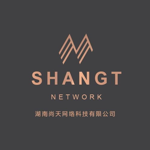 湖南尚天網絡科技 創新驅動，賦能數字未來